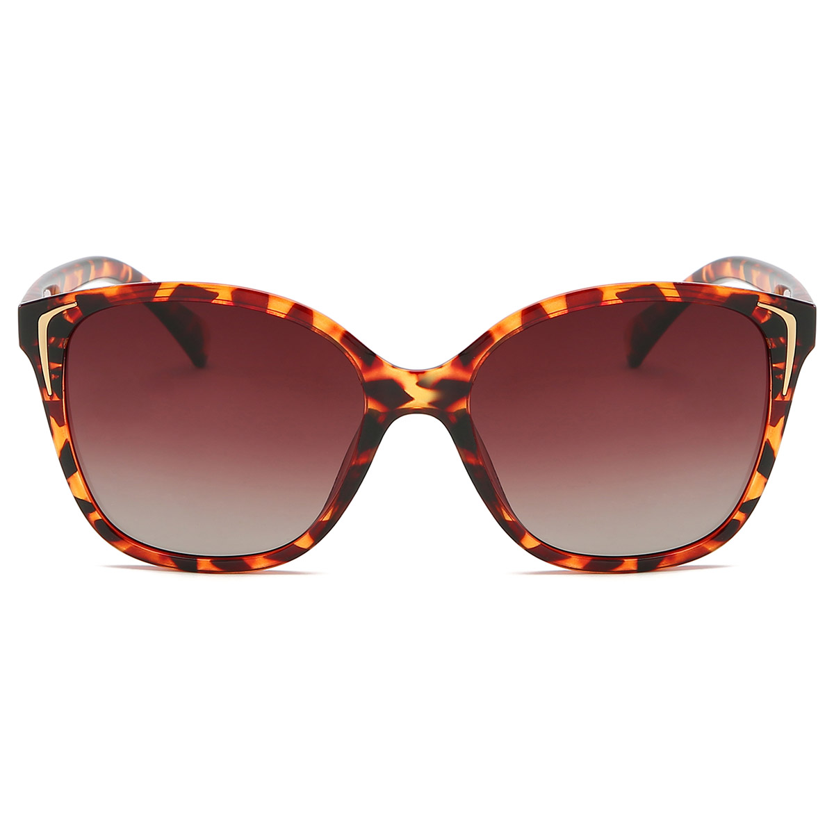 Gradient d'image de chat TR / PC Lunettes de soleil